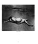 Page: - 63 | Aperture
