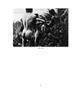 Page: - 90 | Aperture