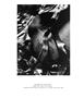 Page: - 98 | Aperture