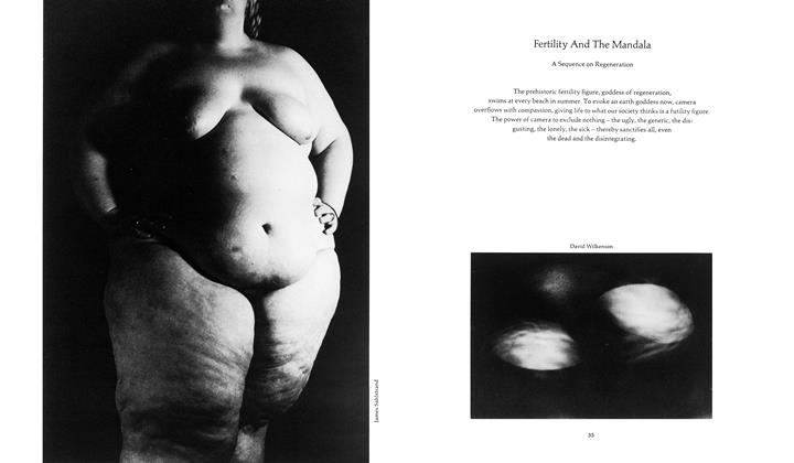 Fertility And The Mandala