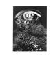 Page: - 15 | Aperture