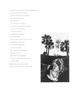 Page: - 19 | Aperture