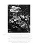 Page: - 27 | Aperture