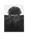 Page: - 30 | Aperture