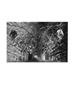 Page: - 37 | Aperture