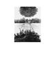 Page: - 42 | Aperture
