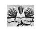 Page: - 45 | Aperture