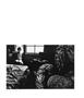 Page: - 51 | Aperture