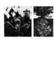Page: - 54 | Aperture