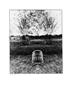 Page: - 56 | Aperture