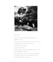 Page: - 61 | Aperture