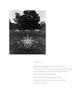 Page: - 68 | Aperture