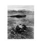 Page: - 71 | Aperture