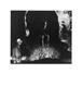 Page: - 73 | Aperture