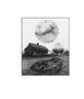 Page: - 76 | Aperture
