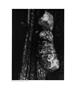 Page: - 35 | Aperture