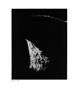 Page: - 38 | Aperture