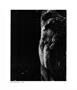 Page: - 39 | Aperture