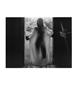 Page: - 50 | Aperture