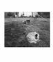 Page: - 52 | Aperture