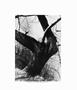 Page: - 31 | Aperture