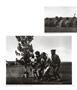 Page: - 52 | Aperture