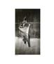 Page: - 67 | Aperture