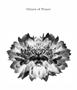Page: - 0_1 | Aperture
