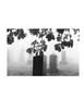 Page: - 16 | Aperture