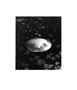 Page: - 17 | Aperture