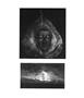 Page: - 46 | Aperture