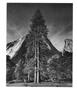 Page: - 48 | Aperture