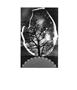 Page: - 54 | Aperture