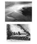 Page: - 55 | Aperture