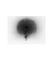 Page: - 64 | Aperture