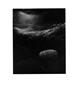 Page: - 84 | Aperture