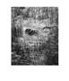 Page: - 86 | Aperture