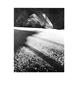 Page: - 87 | Aperture