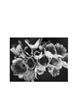 Page: - 88 | Aperture