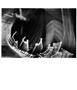 Page: - 89 | Aperture