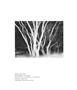 Page: - 98 | Aperture
