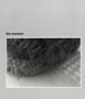 Page: - 10 | Aperture