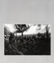 Page: - 12 | Aperture
