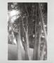 Page: - 15 | Aperture