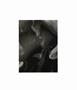 Page: - 19 | Aperture
