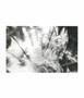 Page: - 21 | Aperture