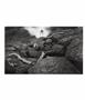 Page: - 22 | Aperture