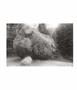 Page: - 26 | Aperture