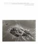 Page: - 3 | Aperture