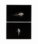 Page: - 41 | Aperture